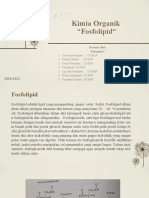 Kelompok 4 - Fosfolipid - Kimia Organik