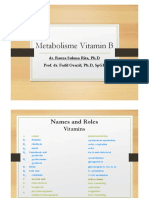 Metabolisme Vitamin B