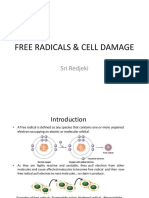 Free Radicals & Cell Damage: Sri Redjeki