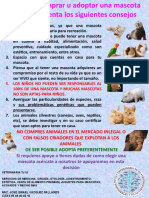 Tips para Adquirir Una Mascota