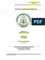 Project Report Format