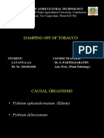 2damping of Tobacco