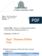 Diseases of Rice