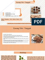 Kacang Tolo - Ibp