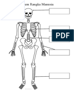 Sistem Rangka Manusia Sains Tahun 5