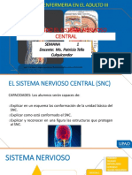 REVISANDO EL SNC SISTEMA NERVIOSO CENTRAL.pptx (1)