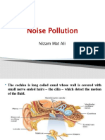 Noise Pollution: Nizam Mat Ali