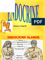 Endocrine System LI