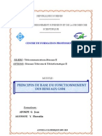 Cours GSM Trii CFP 2010