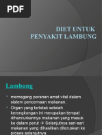 Download Diet penyakit lambung by lisaellizabet SN50585010 doc pdf