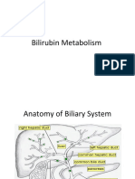 Bilirubin Met