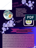 presentaciondebio-120705212638-phpapp02