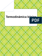 Termodinamica Basica