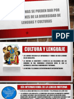 Problemas Se Pueden Dar Por Cuestiones de La Diversidad de Lenguas y Culturas