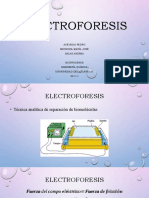 Electroforesis