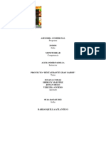 Proyecto Formativo PDF