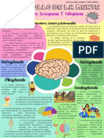 Infografía Desarrollo de La Mente