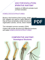 Evidence For Evolution:: Comparative Anatomy