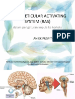 Peran Reticular Activating System (Ras)