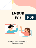 Que Es El Pei ENSDB (Revista)