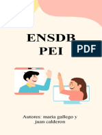 Revista Pei