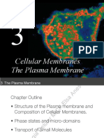 Cellular Membranes 