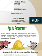 Pertemuan 6 & 7 NUTRISI TERNAK DASAR