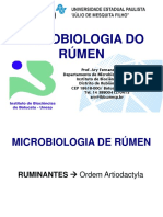 Aula Microbiol Rumen