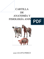 ANATOMIA