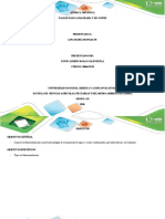 Anexo 1 - Diagrama de Gowin