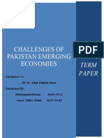 Challenges of Pakistan Emerging Economies: Term Paper