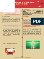 Biomoleculas Lipidos