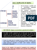 Etapas de La Digestión de Lípidos (I)