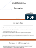 bioenergetica