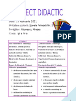 Proiect Didactic1