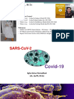 Egha KKP Antigen Antibodi PCR Covid-1