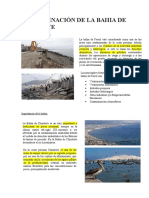 Guillen Bartolo Jonathan - Importancia y Contaminantes de La Bahia