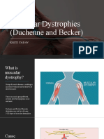 Muscular Dystrophies: (Duchenne and Becker)