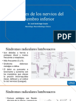 Lesiones de Los Nervios Del Miembro Inferior