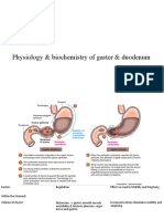 Fisiologi & Biokimia Gaster & Duodenum