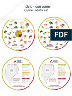 DM Plate Method - Bilingual PDF