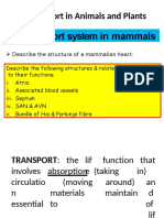 8.1a. Structure of Mammalian Heart