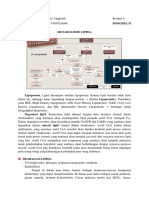 Metabolisme Lipida