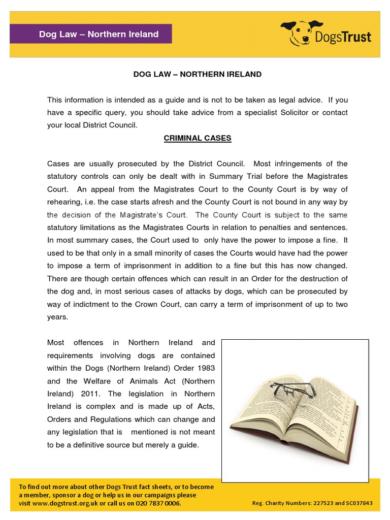 Dog Law Northern Ireland PDF Government Common Law