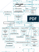 PDF Woc hnp1 DD