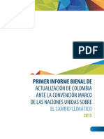 1 Informe Bienal Actualizacion