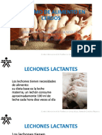 Porcinos Alimentacion Ceba PDF