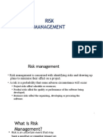 4 - Project Risk Management