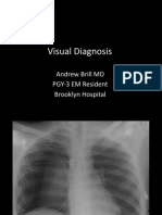 Visual Diagnosis: Andrew Brill MD PGY-3 EM Resident Brooklyn Hospital