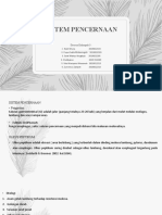 PPT kel 3 Sistem pencernaan